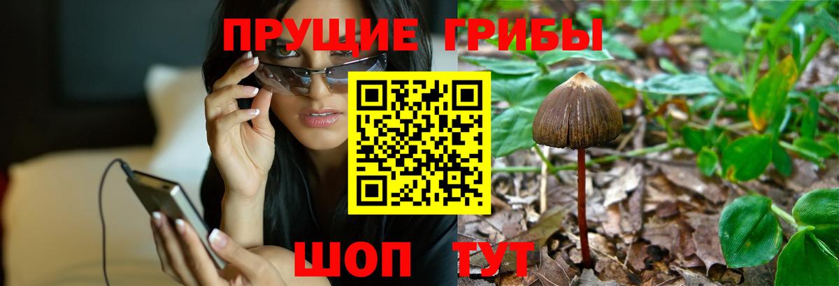 Галлюциногенные грибы ЛСД  Вход с VPN  Лабытнанги  Галлюциногенные грибы мицелий 